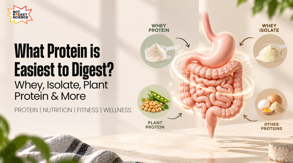 What Protein Is Easiest to Digest? Whey, Isolate, Plant Protein &amp; More.